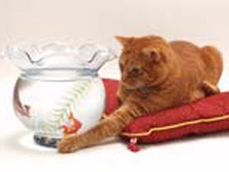 Foto Noticia  Flores de Bach para Peque�as Mascotas 
