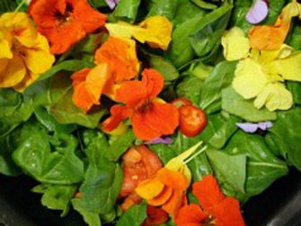 Foto Noticia Flores para comer