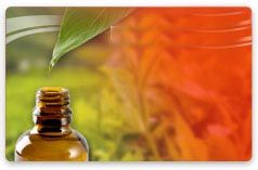 Foto Noticia Biocosm�tica, lo �ltimo en belleza (2 de 2)