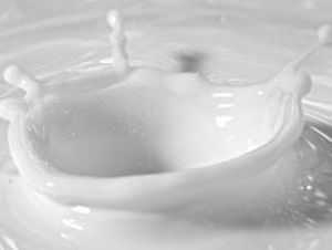 Foto Noticia Leche de s�samo, beneficios al instante