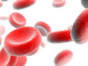 Foto Noticia Suplementos Nutricionales: clasificaci�n