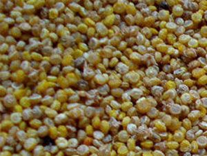 Foto Noticia Men�s diarios: nuevos sabores