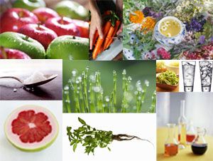 10 alimentos naturales para adelgazar