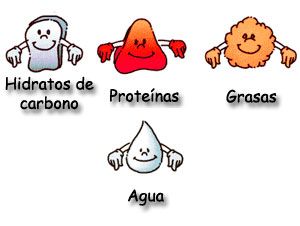 Porcentajes de macronutrientes para �dummies�