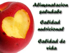 Alimentos que funcionan en nuestro cuerpo