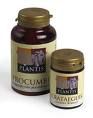 BILOBIS PLANTIS (ext.s.ginkgo biloba) 120cap.