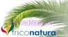 LOCION PT 12 125ml.